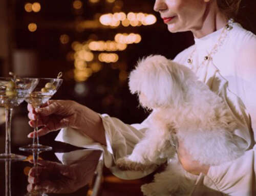 Estate Planning for Pets? 3 Famous Pet Inheritance Stories