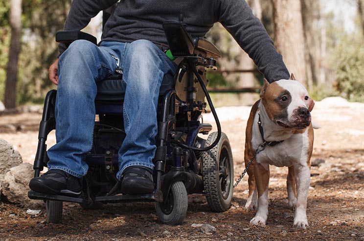 man in wheelchair petting dog